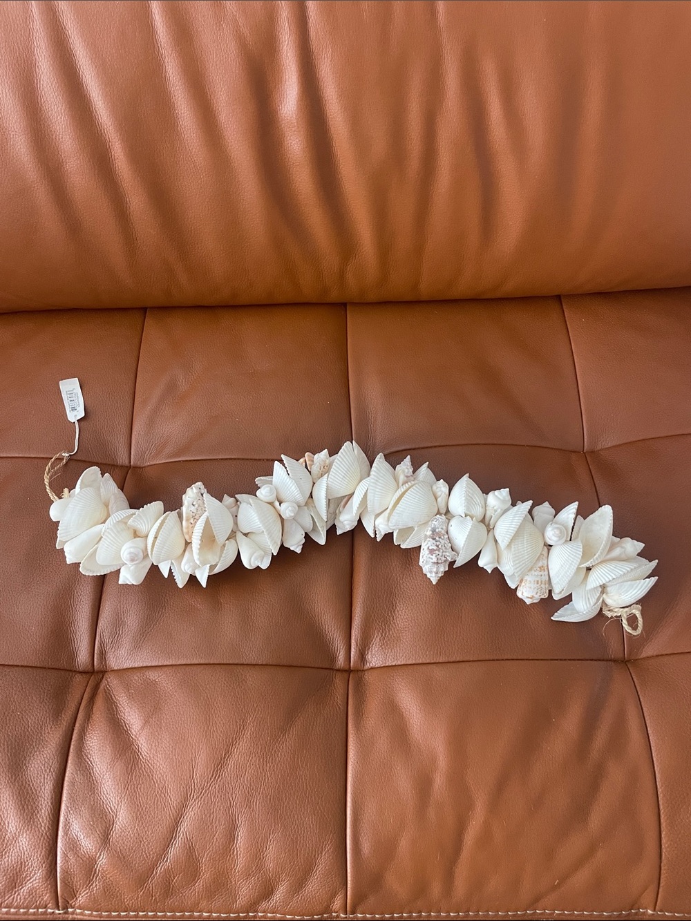 Shell Decor Strand